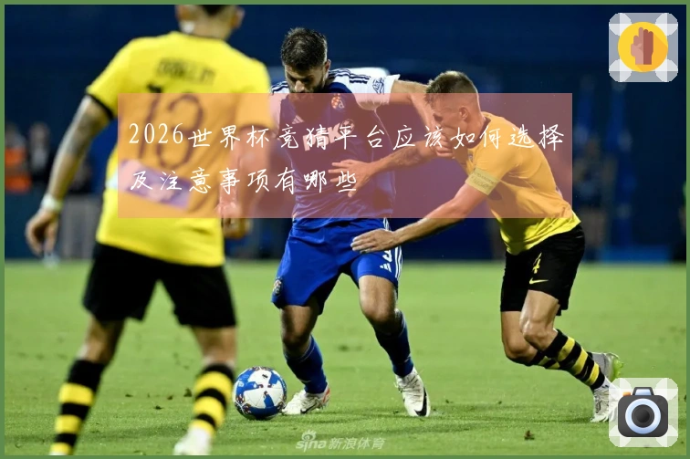 2026世界杯竞猜平台应该如何选择及注意事项有哪些